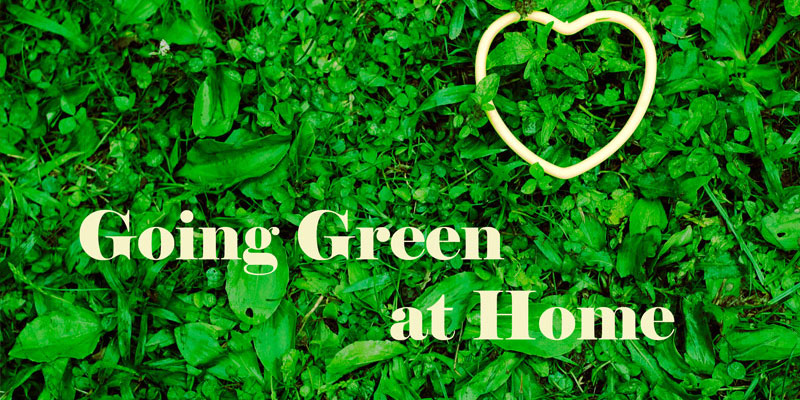 Benefits of Going Green